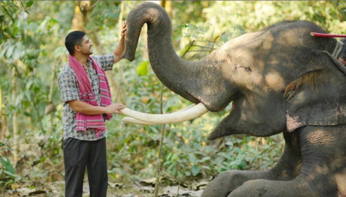 হাতি পুষছেন নিলয়