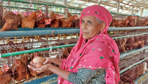 নাটোরের খামারে মিলল ১৮০ গ্রাম ওজনের মুরগির ডিম