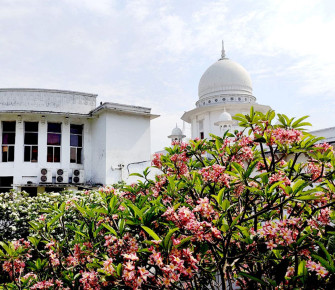 নামের আগে কারা ডাক্তার পদবি ব্যবহার করতে পারবে, জানালেন হাইকোর্ট