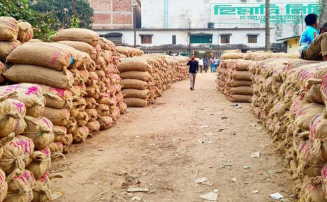 আলু নিয়ে চরম বিপাকে চাষী
