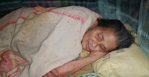 সম্পত্তির জন্য বৃদ্ধা মাকে ফেলে গেলো ৮ সন্তান