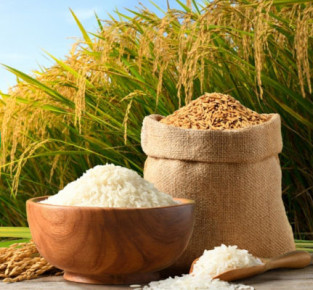 এ বছর ৩৬ টাকায় ধান, ৪৯ টাকায় চাল কিনবে সরকার