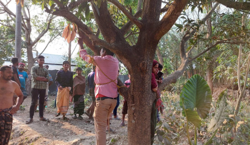 গাছে বাঁধা প্রেমিক যুগল