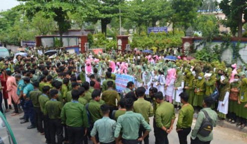 ডিপ্লোমা নার্সিং কোর্সকে স্নাতকের সমমান করার দাবি