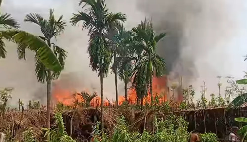 বাগমারায় অগ্নিকাণ্ডে ৮০ কৃষকের পানবরজ ভস্মীভূত