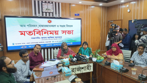 রাজশাহীর আম বাজারে আসছে ১৫ মে