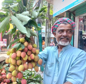 রাজশাহীর বাজারে ‘টক-মিষ্টি স্বাদের’ লিচু