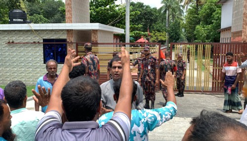 রাজশাহীতে ‘ভারতীয়’ বলে ২৪ গরু জব্দ, বিজিবির সামনে বিক্ষোভ