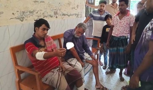 পাবনায় চরে ৮ কৃষককে পিটিয়ে গরু লুট করে পিকনিক !
