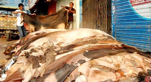 কাঙ্ক্ষিত দাম মেলেনি চামড়ার