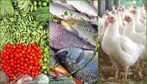 মুরগি ও মাছের বাজার চড়া, সবজিতে স্বস্তি
