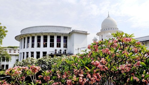 সেই নারীর ভিডিও-ছবি দ্রুত অপসারণের নির্দেশ