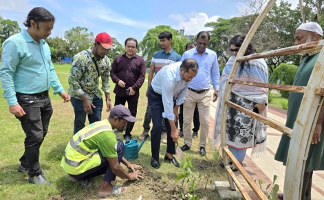 রাজশাহী কেন্দীয় উদ্যানে বৃক্ষরোপণ করলেন রাসিক প্রশাসক