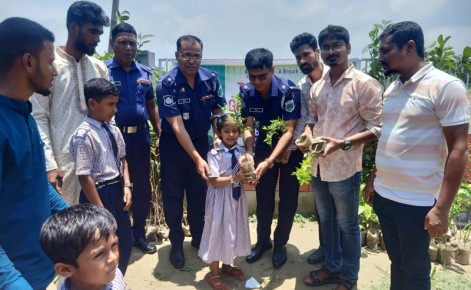 দুর্গাপুরের গ্রামে ব্রাইট লাইফ ভলান্টিয়ার্স’র বৃক্ষচারা বিতরণ