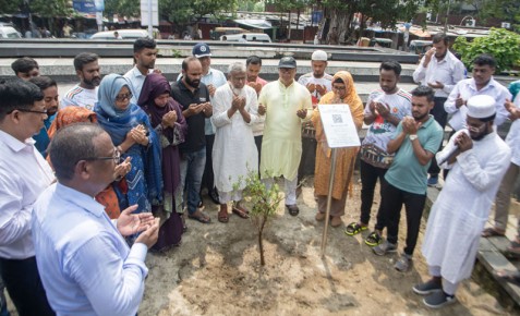 রাজশাহীতে জুলাই শহিদদের স্মরণে রোপণ করা হলো জয়তুন চারা