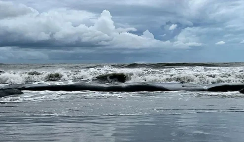 আসছে নিম্নচাপ, টানা বৃষ্টির আভাস