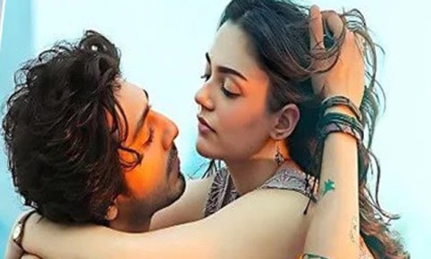 সাত দিনেই বাজেটের চারগুণ আয় করল সাইয়ারা