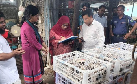 বাঘায় দুইশ ঘুঘু অবমুক্ত, পোল্ট্রি মালিকসহ দুজনের জরিমানা