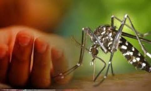 ডেঙ্গুতে মৃত্যু ১০০ ছাড়াল