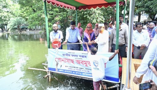 রাজশাহীতে দেশি মাছ রক্ষায় অভয়াশ্রম গড়ার প্রত্যয়