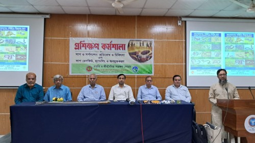 ‘পরিবেশের উপকারী সাপ হত্যা না করে উদ্ধার ও অবমুক্তকরণে গুরুত্বারোপ’