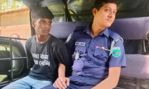 ফ্রিজে জমানো মাছের ব্যাগে মিললো বিদেশি পিস্তল ম্যাগজিন ও গুলি