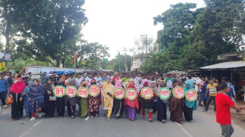 চারঘাটে বিএনপির শোভাযাত্রায় মানুষের ঢল