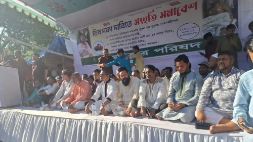 জাপা নিষিদ্ধ চায় ২৯ দল