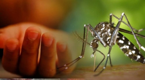 ডেঙ্গুতে একদিনে ৫ মৃত্যু, হাসপাতালে ৬৩৬