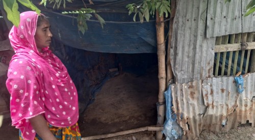 শেষ সম্বল তিনটি গরু হারিয়ে দিশেহারা নাসিমা