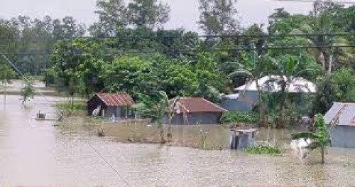 উত্তরের চার জেলায় বানের আভাস