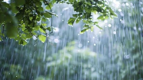 লঘুচাপ সৃষ্টির সম্ভাবনা, বজ্রসহ ভারী বৃষ্টির পূর্বাভাস