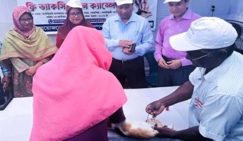 বিশ্ব জলাতঙ্ক দিবসে রাজশাহীতে  তাধিক কুকুর-বিড়ালকে টিকা দিলো প্রাণীবিভাগ