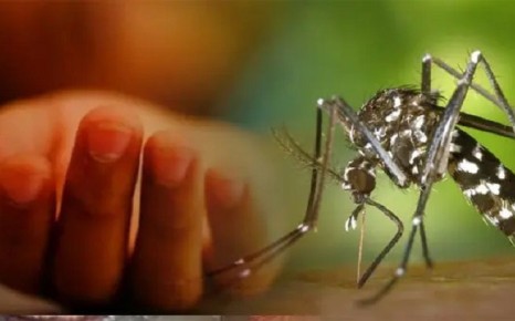ডেঙ্গুতে একদিনে ৫ জনের মৃত্যু, হাসপাতালে ভর্তি ৯৫৩