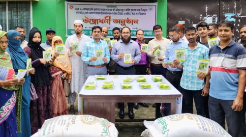আগাম শীতকালীন সবজি  চাষে প্রণোদনা পেলের পবার ১১৭০ কৃষক