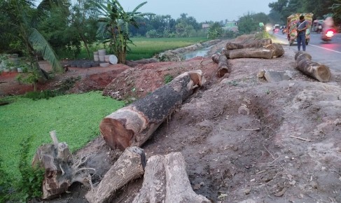 রাজশাহীতে গাছ হত্যা বন্ধে সচেতন নগরবাসীর চিঠি প্রদান