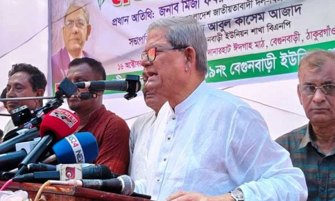 অন্তর্বর্তীকালীন সরকার দুর্বল, পেছনে কেউ নেই: মির্জা ফখরুল