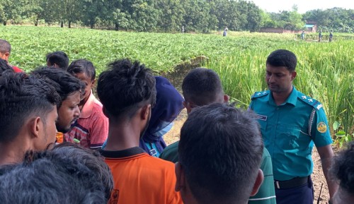 পবার ধানক্ষেত থেকে নারীর বিবস্ত্র লাশ উদ্ধার