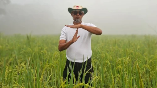 ধানক্ষেতে দাঁড়িয়ে বিএনপি নেতার অভিনব প্রতিবাদ