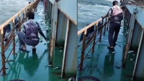 জাহাজের ডেকে উঠে এলো ঝাঁকে ঝাঁকে ইলিশ