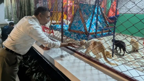 শ্বশুরবাড়িতে ‘প্রাণিপ্রেমী তারেক রহমান’