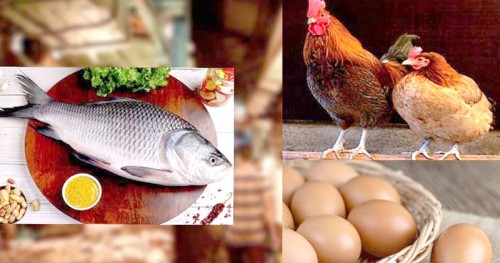 মাছের বাজার চড়া, মুরগি-ডিমে কিছুটা স্বস্তি