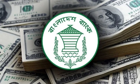 ১০ দিনেই রেমিট্যান্স বিলিয়ন ডলার ছাড়াল