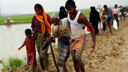 রোহিঙ্গা গণহত্যার অভিযোগ অস্বীকার করল মিয়ানমার