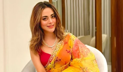 দীর্ঘ বিরতির পর ফিরছেন তমা মির্জা