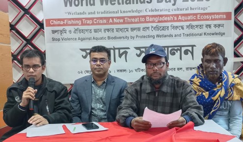 চায়না ফাঁদ ও হানিট্র্যাপে হুমকির মুখে জলাভূমির প্রাণবৈচিত্র্য