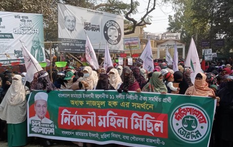 বাঘায় দাঁড়িপাল্লার পক্ষে নারীদের বিশাল প্রচার  মিছিল