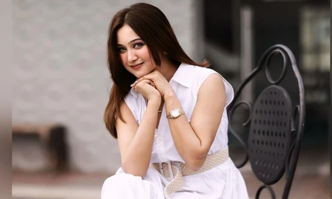 বিএনপিতে যোগ দিয়ে সবুজ সংকেত পেলেন চমক!