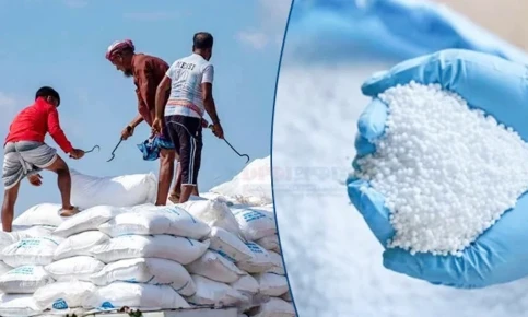 রাশিয়া থেকে ৩৫ হাজার টন এমওপি সার আমদানির অনুমোদন