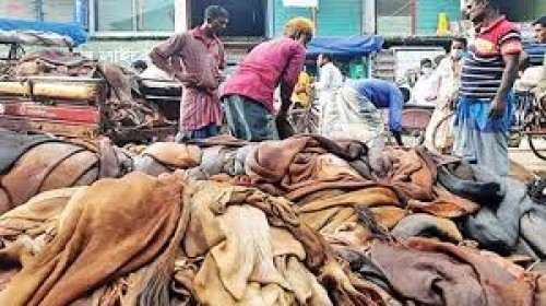 চামড়ায় এবারও ‘ধরাশায়ী’ মৌসুমি ব্যবসায়ীরা